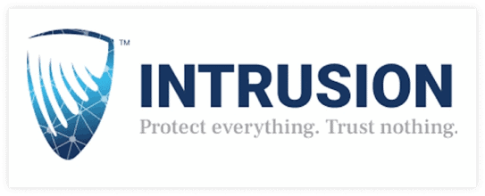 Intrusion Logo