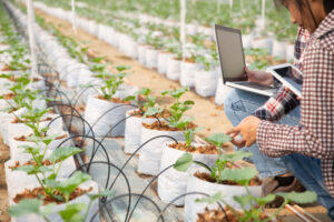 Industrial Hardware for Agriculture: Smart Farming Tech